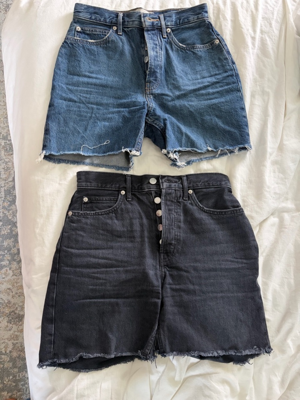 Everlane The Rigid Way High Short- Blue and Black Raw-Hem Denim Shorts Du